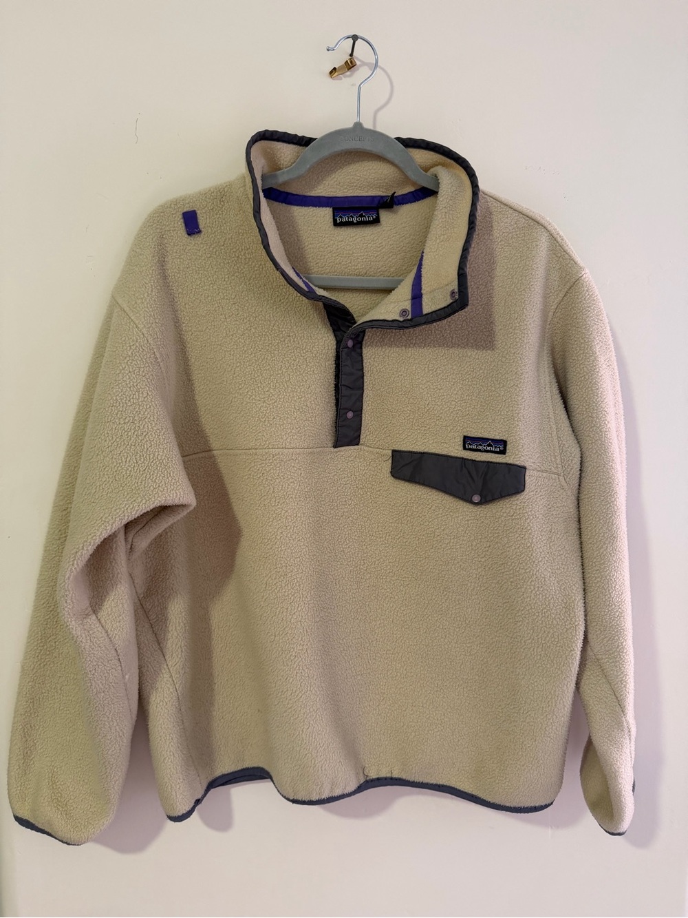 Patagonia Beige Fleece Pullover with Charcoal Accents